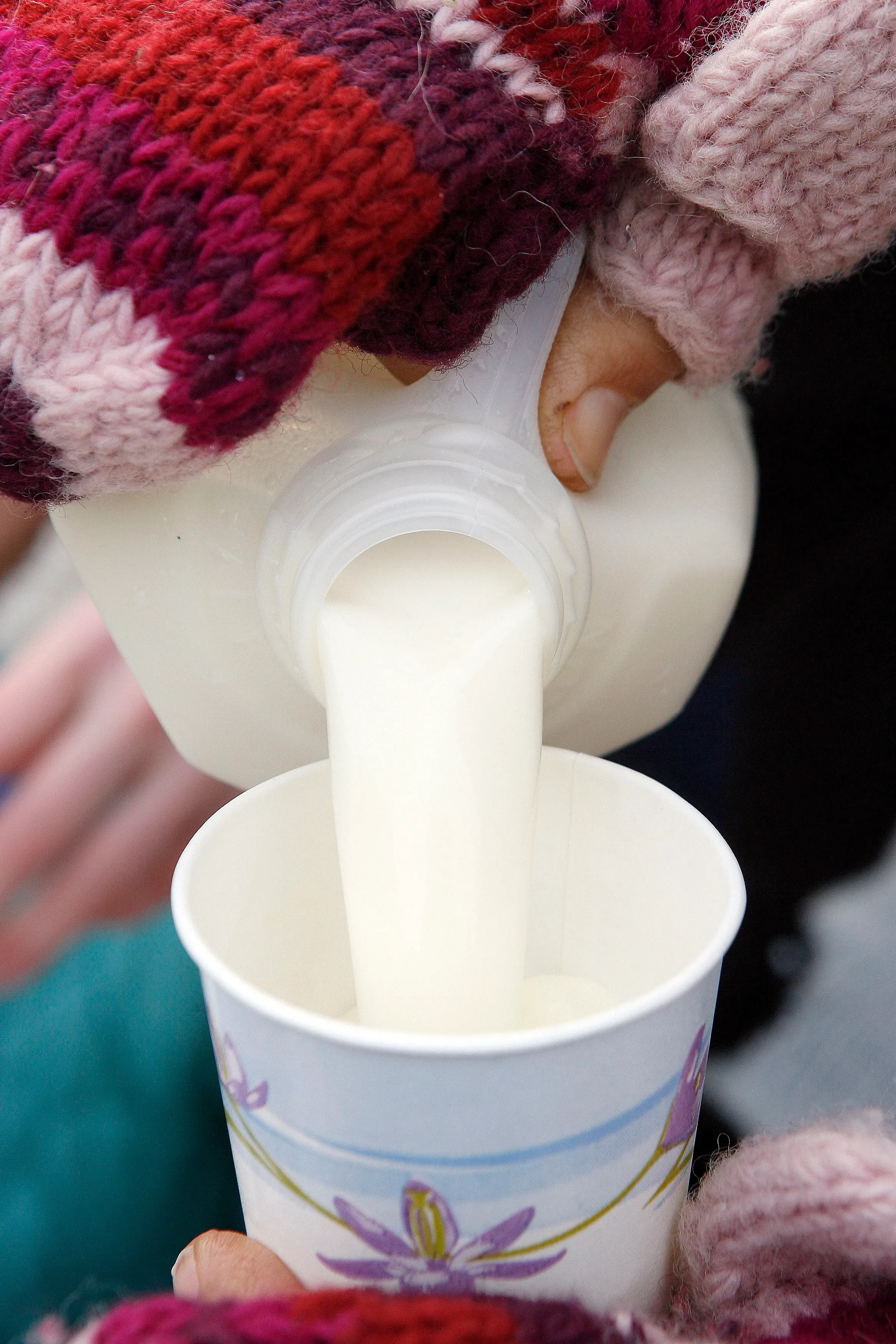 حليب يُسكب في كوب ورقي، مع يد ترتدي قفازات ملونة. الصورة تعكس الاتجاهات المتزايدة نحو استهلاك الحليب النيء.