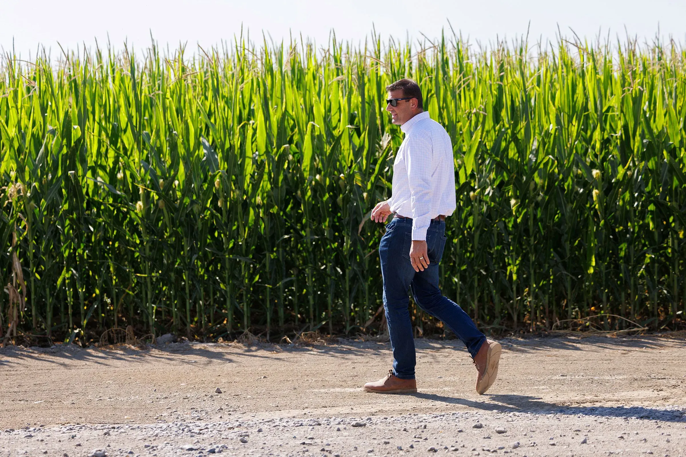 رجل يرتدي قميصًا أبيض وبنطال جينز يمشي بجوار حقل من الذرة، مما يعكس الأجواء الريفية في تكساس وسياق الانتخابات النصفية المقبلة.