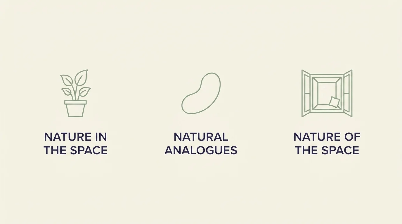 Three-column framework of biophilic design principles: Nature in the Space, Natural Analogues, Nature of the Space