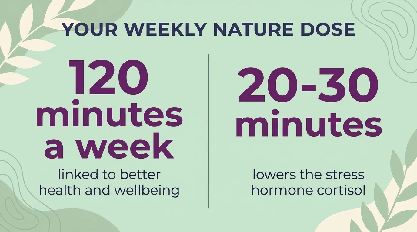 Two-panel infographic showing 120 minutes of nature a week for wellbeing and 20-30 minutes to lower cortisol
