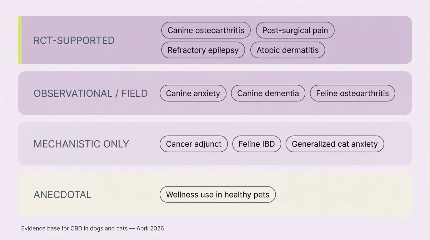 CBD for pets evidence tier infographic: RCT-supported, observational, mechanistic, and anecdotal levels with examples