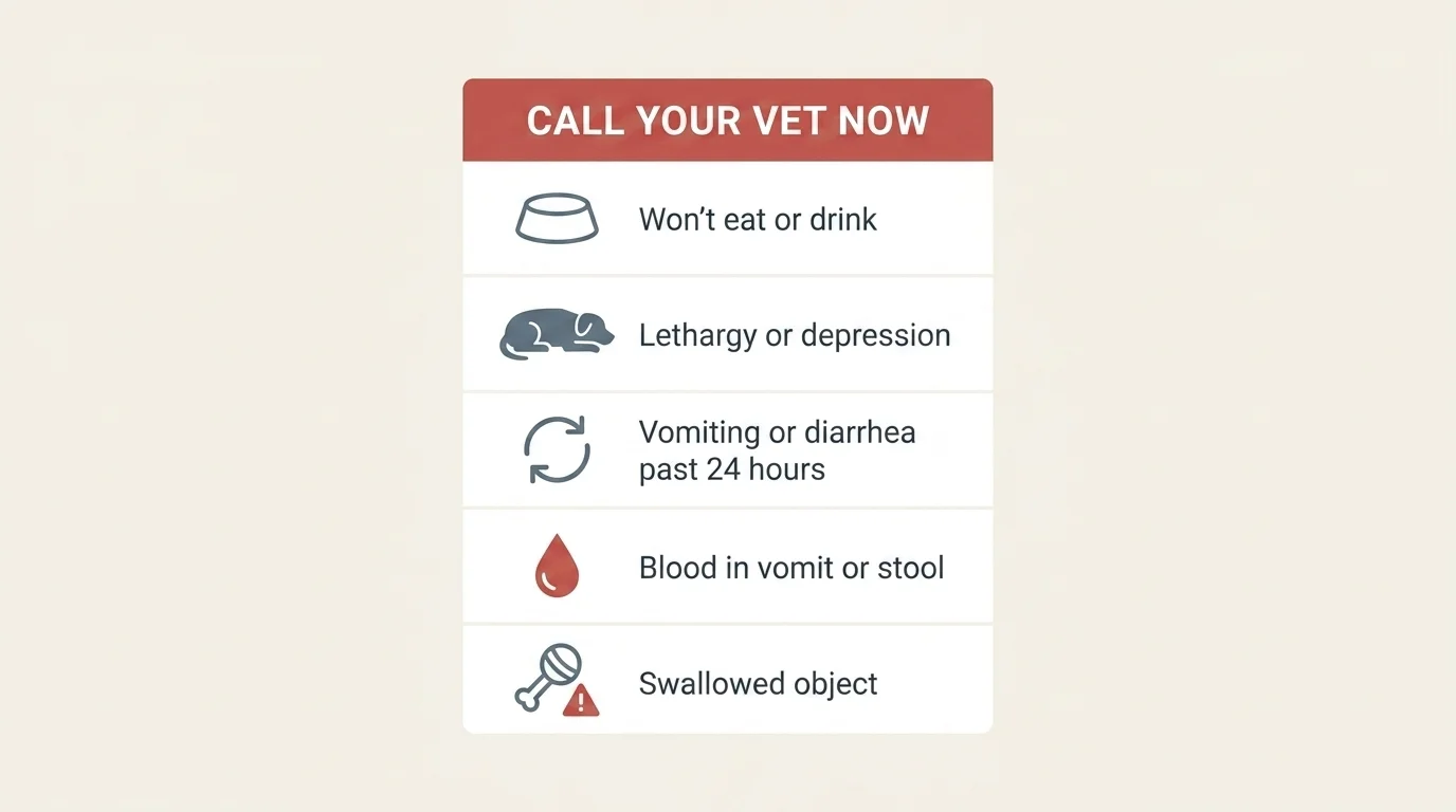 Warning card headed Call your vet now listing red flags: won't eat, lethargy, vomiting past 24 hours, blood, swallowed object