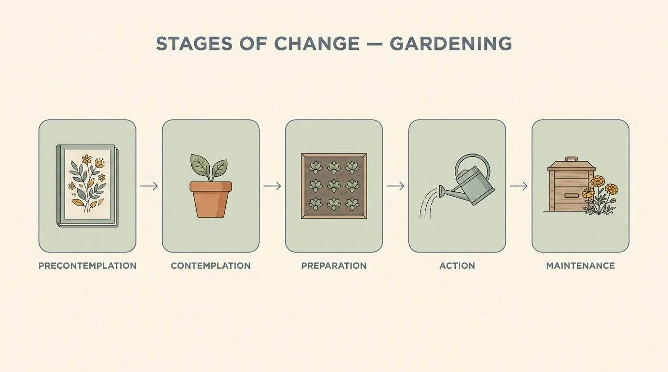 Five Stages of Change applied to gardening: precontemplation, contemplation, preparation, action, maintenance