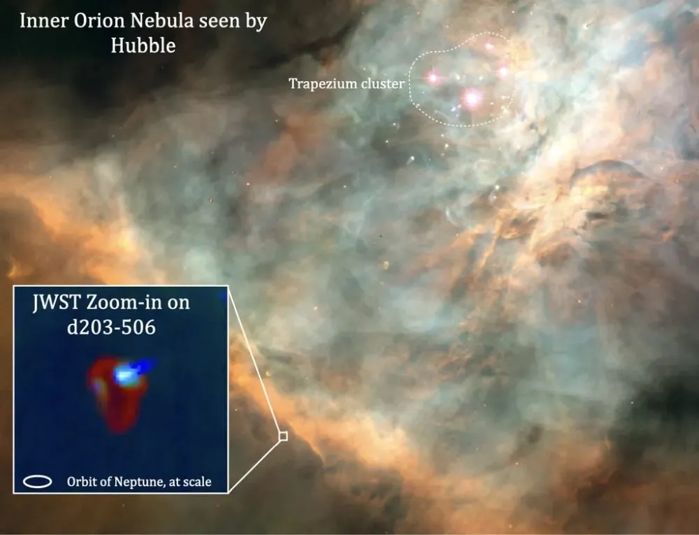 سديم الجبار مع عنقود النجوم Trapezium وتكبير بواسطة JWST لأقراص الغبار والغاز الأولية المحيطة بنجم 1 Ori C1 في مركز السديم.
