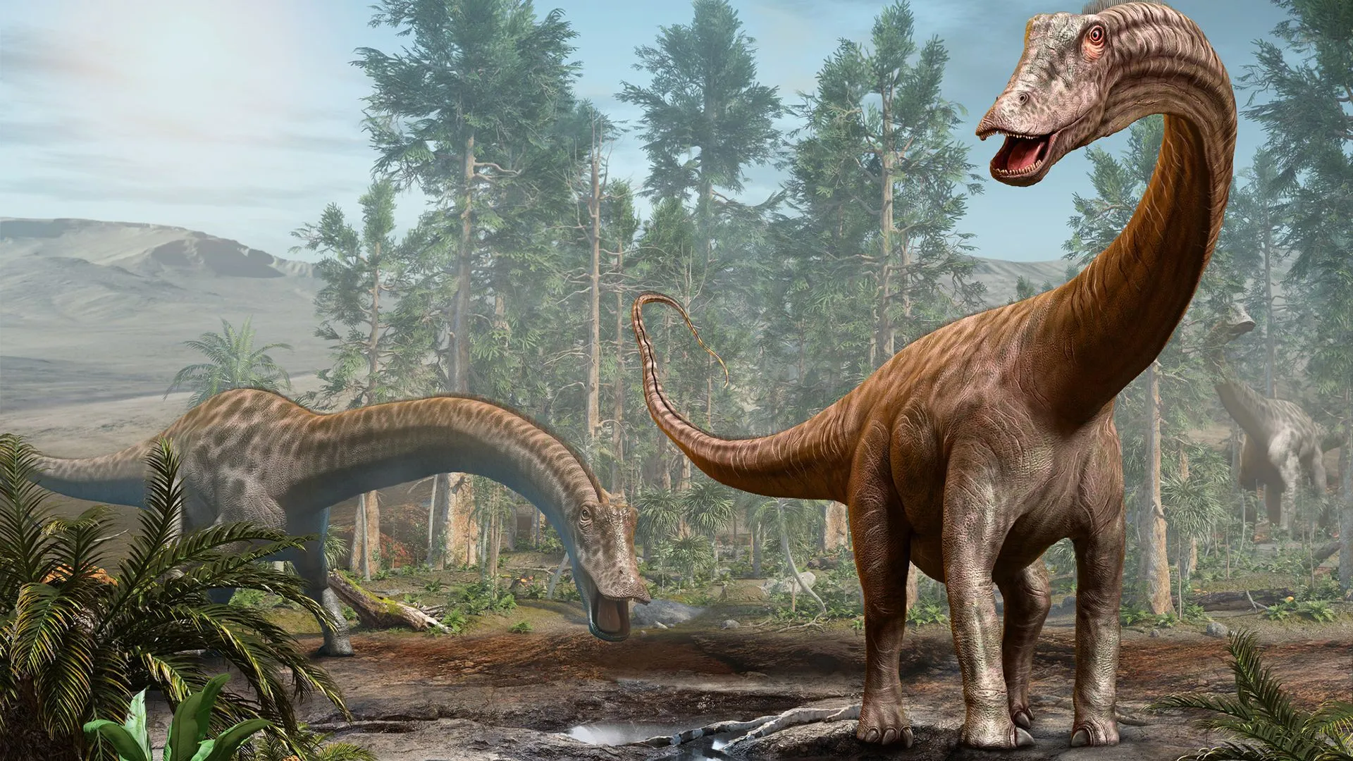 ديناصورات Diplodocus العملاقة ذات العنق الطويل في بيئة غابية قديمة تمثل اكتشافًا جديدًا في شرق إسبانيا يعيد رسم خريطة انتشارها.