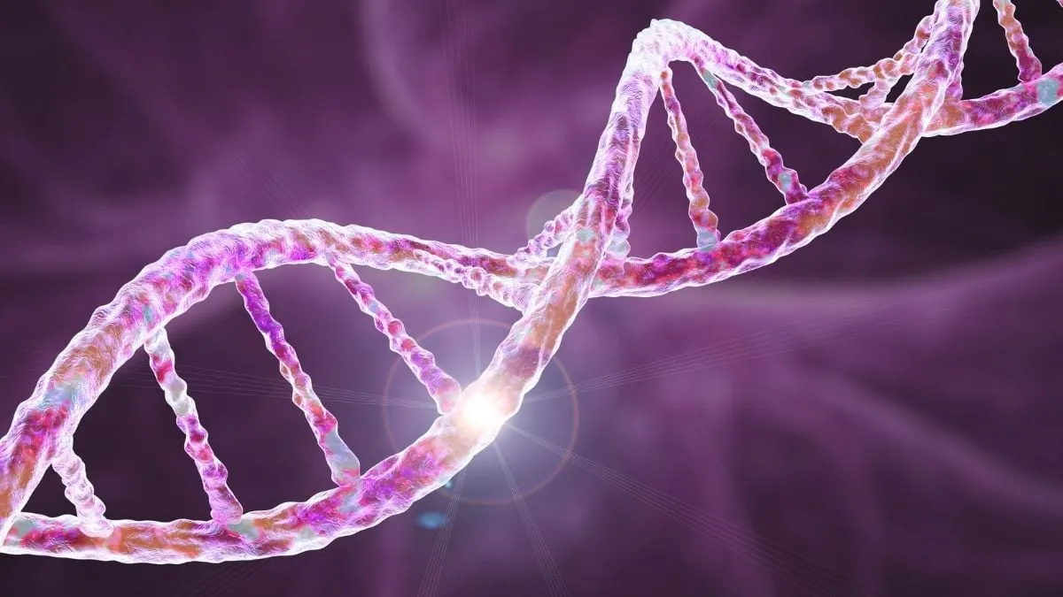 تمثيل ثلاثي الأبعاد لسلسلة الحمض النووي DNA تظهر تركيب الحلزون المزدوج مع تأثيرات لونية توضح تفاصيل التركيب الجزيئي في سياق دراسة تراكيب G-quadruplex في بلازما الدم.
