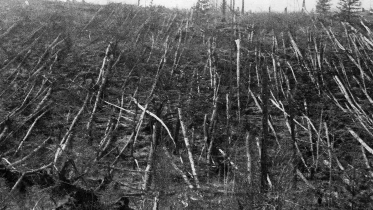 أشجار متساقطة ومقضومة في منطقة تونغوسكا بسيبيريا بعد انفجار كويكب عام 1908، يظهر الدمار الواسع الناتج عن موجات الصدمة الهوائية.